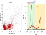 Labeling of Human PBMCs with CD62L BV421 Antibody