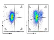 Good Proliferation Assay