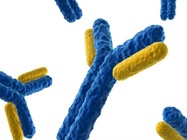  Antibody Market Report