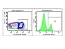 Anti Mouse CD3 PB for Flow Cytometry