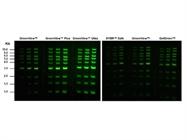 GreenView™ Nucleic Acid Gel Stains