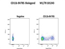 Myeloid Lineage Marker Staining
