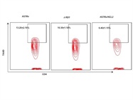Cell Viability Stain