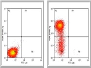 Good CD8a Antibody