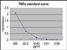 Standard Protein for Quantifying Mouse TNF-alpha