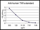 Quantification of TNFa by ELISA