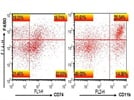Expression of Activation Marker F4/80 on Macrophage Cells Isolated from Mouse Spleen