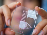 Microfluidics: Many Channels of Technological Advances