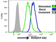 Evaluation of Reactive Oxygen Species (ROS) Generation in Cells Using DCFDA