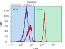 Labeling of CD4 Positive Cells in Human PBMC Samples