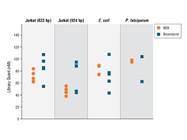 NEBNext® Library Quant Kit for Illumina®