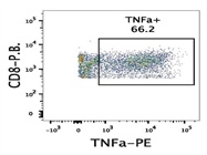 Great TNF-alpha Antibody