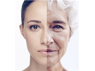 Discover the tools for researching gracefully… because your samples are not getting any younger!