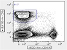 CD8a+ Staining of Murine Lymphocytes