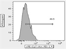 PD-1+ Staining of Murine Lymphocytes
