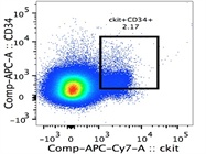 Anti-Mouse CD34 Antibody
