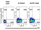 Anti-PDL-1 Antibody Treatment Reduces Expression of the Exhaustion Marker PD-1 in T Cells