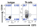 Expression of Ectonucleotidase CD39 on Th1 Cells in a Chronic Mouse Sepsis Model