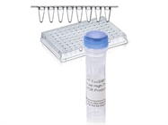 HT ExoSAP-IT® Fast High-Throughput PCR Product Cleanup