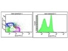 FITC Anti-Mouse B220 Ab Used for Labeling Mouse B cells