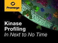 Profile lead compounds in hours, not days!