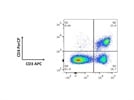 Perfect Antibody for Detection of T Cells
