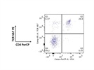 Great Antibody for Phenotyping of 1C6 Mice