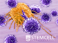 New Tools to Streamline Your T Cell Research