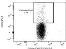 PE Anti-Mouse IFN-gamma