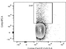 APC Anti-Mouse/Human IL-5 Antibody