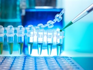  dPCR vs. qPCR vs. Endpoint PCR