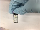 Thy1.1 Staining in Mouse Spleen