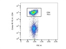 Anti-Mouse CD4 PE for Splenocyte Staining