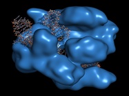  Understanding RNA-Protein Interactions