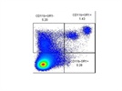 Antibody Gives Good Signal and Specific Staining
