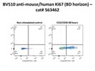 A Good Cell Proliferation Marker for In Vitro and Ex Vivo Studies
