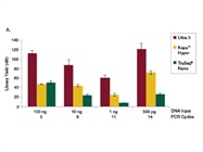NEBNext&reg; Ultra&trade; II DNA Library Prep Reagents