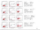 Anti Platelet Antibody - Isotype