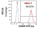 CD49f FITC Antibody