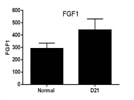 Mouse FGF1 ELISA