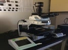 Olympus BX63 for Fluorescent Microscopy