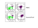 PD-1 Expression in Human Tissue