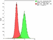 Beckman Coulter Gallios Flow Cytometer