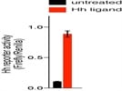 Dual Luciferase Reporter, Promega