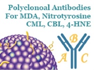 Polyclonal Antibodies for MDA, 4-HNE, CML