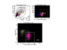 Good Marker for Sorting Naive CD4 T Cells