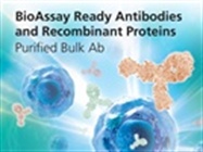 BioAssay Ready Antibodies and Recombinant Proteins