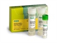 Bio-Rad SsoAdvanced&trade; Universal SYBR&reg; Green Supermix
