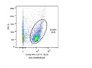 Good General Purpose B Cell Marker