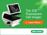 Start Imaging Fluorescence Without a Darkroom
